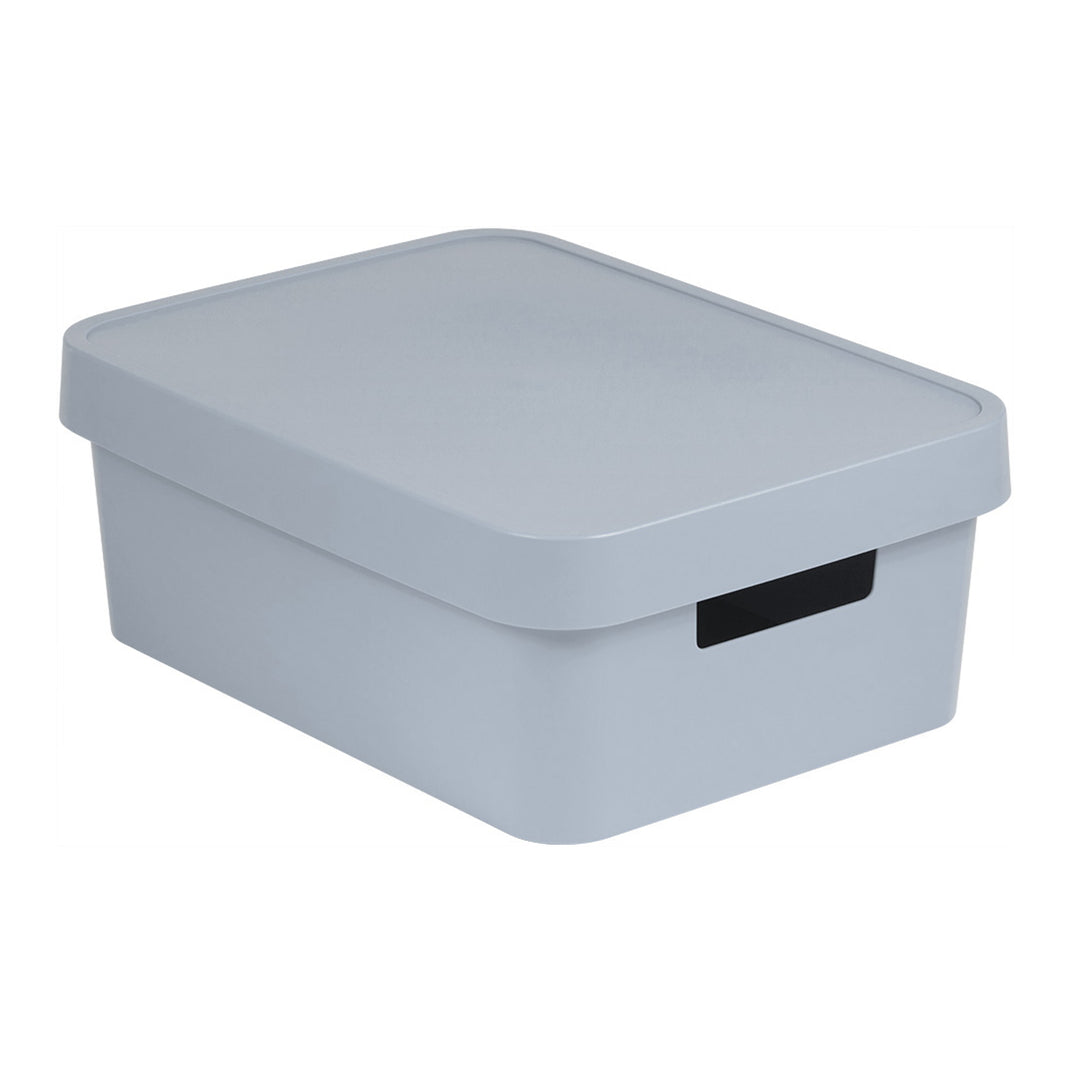 Aufbewahrungsbox mit Deckel Curver Infinity 11L grau