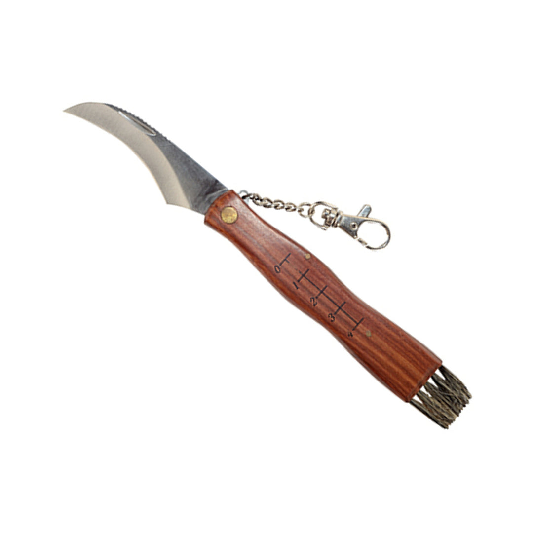 Pilzmesser mit Bürste und Lineal Klappmesser Geschärft Holzgriff Hochwertiger Stahl 21cm