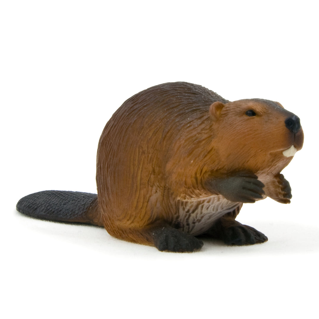 Animal Planet Tierfifur Spielfigur - Biber-Figur, Animal Planet 8,5 cm x 3 cm - detailgetreu u. handbemalt - qualitativ u. Sicher