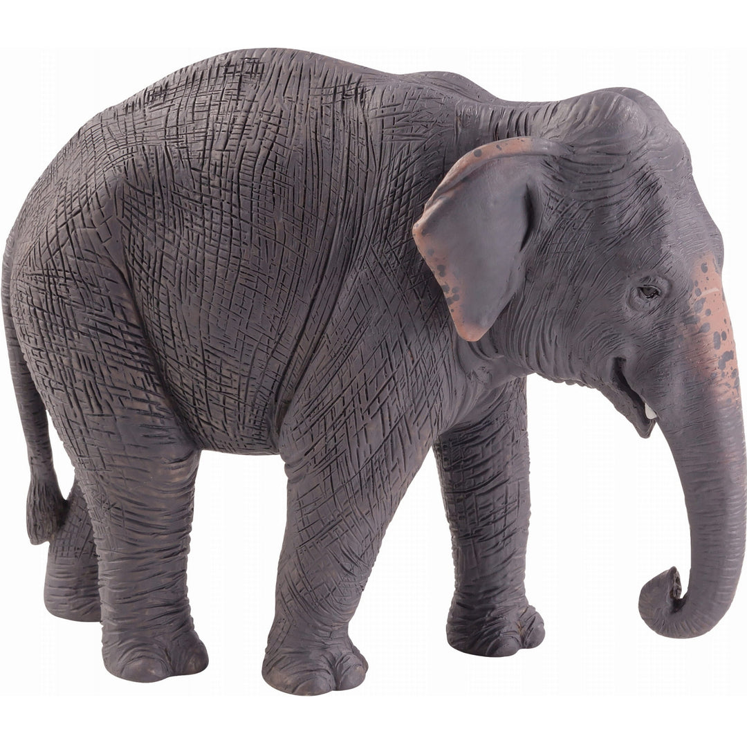 Animal Planet Tierfifur Spielfigur - Asiatischer Elefant Figur, Animal Planet 12 cm x 4 cm x 9 cm - detailgetreu u. handbemalt - qualitativ u. Sicher