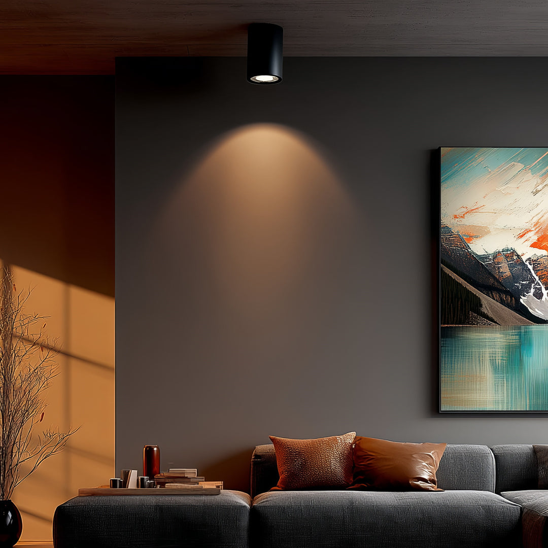 Deckenaufbauleuchte mit GU10 Fassung für LED & Halogen Leuchtmittel bis 40W Aufputz Schwenkbar Aluminium (Schwarz, Rund)