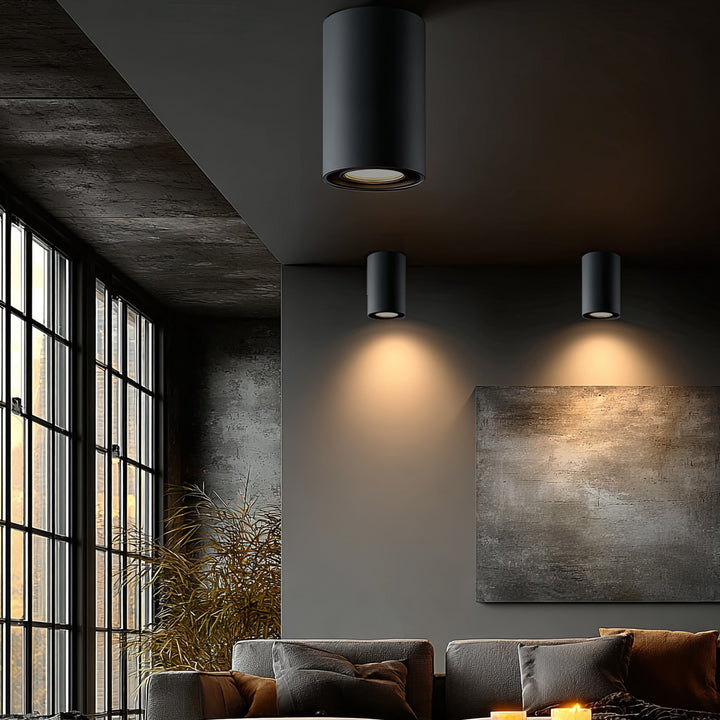 Deckenaufbauleuchte mit GU10 Fassung für LED & Halogen Leuchtmittel bis 40W Aufputz Schwenkbar Aluminium (Schwarz, Rund)
