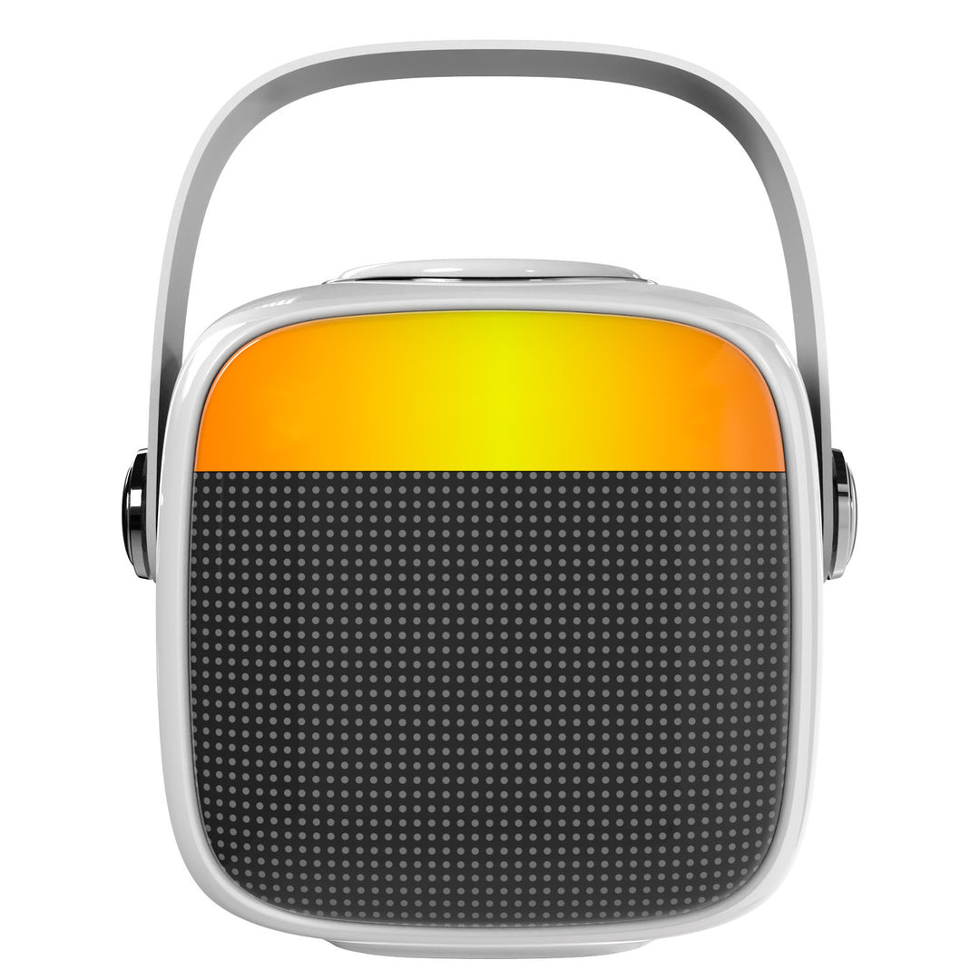 Funklautsprecher Adler, mit Mikrofon, für Karaoke, Bluetooth, AD 1199 W