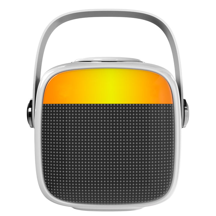 Funklautsprecher Adler, mit Mikrofon, für Karaoke, Bluetooth, AD 1199 W