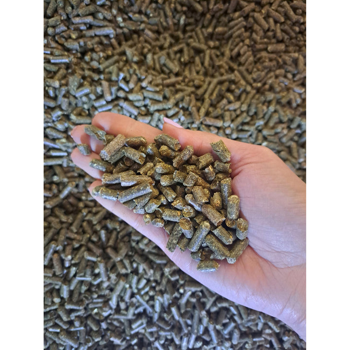 Grasballen, Pferdefutter, hergestellt aus Gras aus dem Land der Seen, 15kg Sack