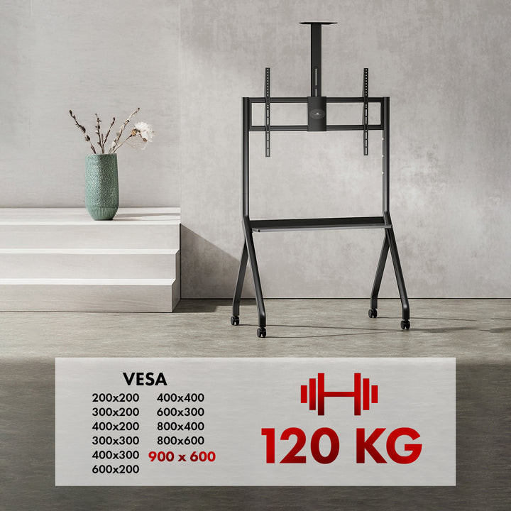 Maclean TV-Ständer/Wagen, Kameraablage, auf Rädern, 55-100", max. Belastung 120kg/10kg Ablage, max. VESA 900x600, schwarz, MC-114 B