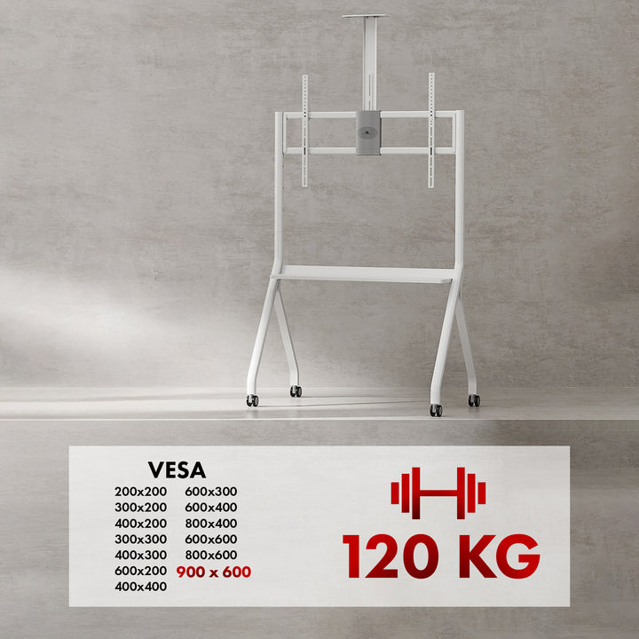 Maclean TV-Ständer/Wagen, Kameraablage, auf Rädern, 55-100", max. Belastung 120kg/10kg Ablage, max. VESA 900x600, weiß, MC-114 W