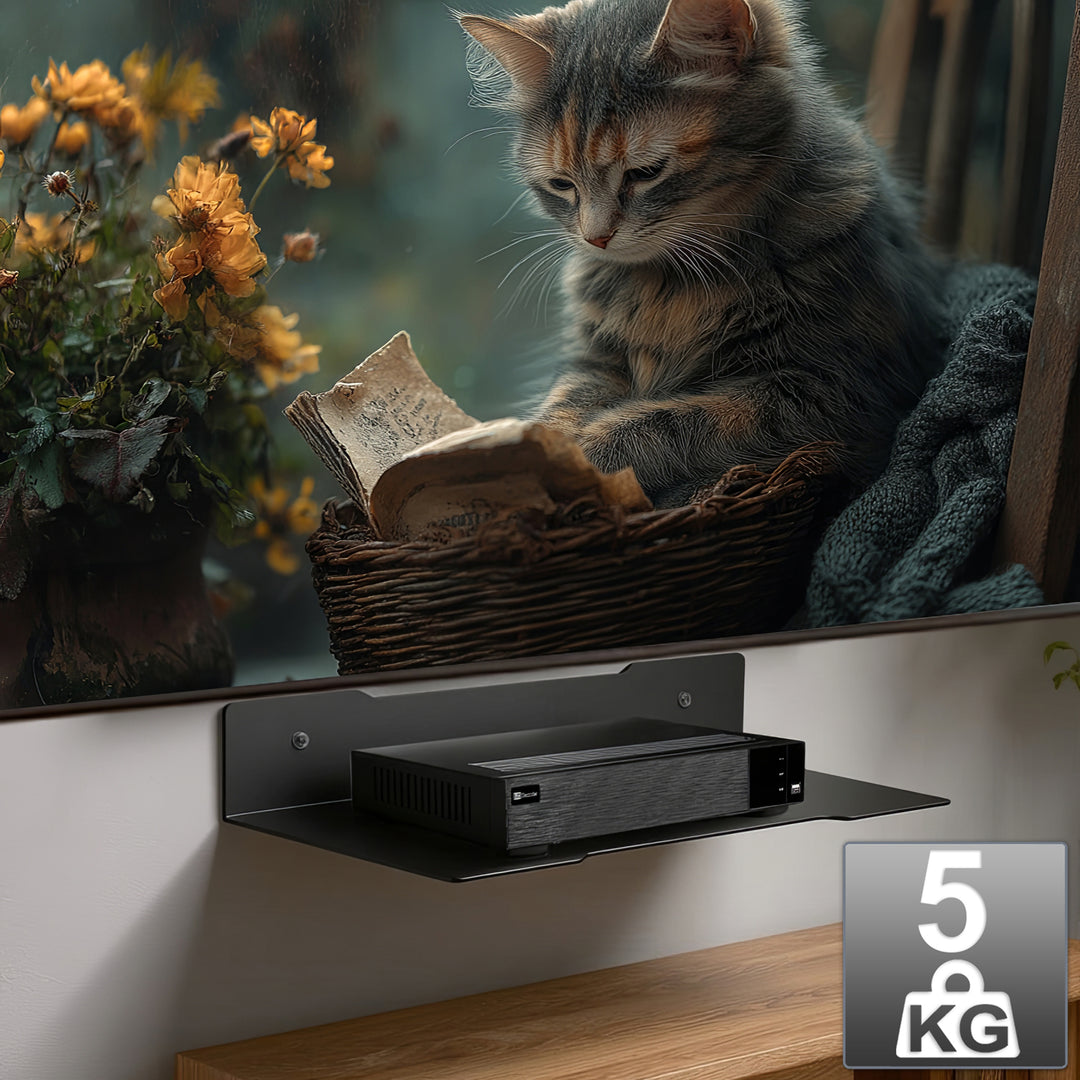 Maclean Decoder-Wandregal, einzeln, max. 5kg, Stahl, MC-122