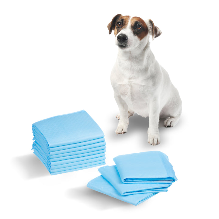 GreenBlue automatischer Wasserspender / Haustiertränke, 3L, USB 5V1A, GB392 + GreenBlue Hunde-/Katzenhygienematten, Trainingpads, 60x40cm, 50 Stück, GB495