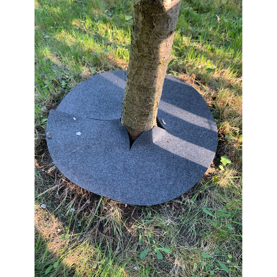 Bertoni Unkrautbekämpfungsscheiben 6 Stück, 50 cm, grau