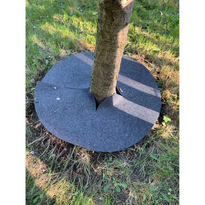 Bertoni Unkrautbekämpfungsscheiben 6 Stück, 50 cm, grau