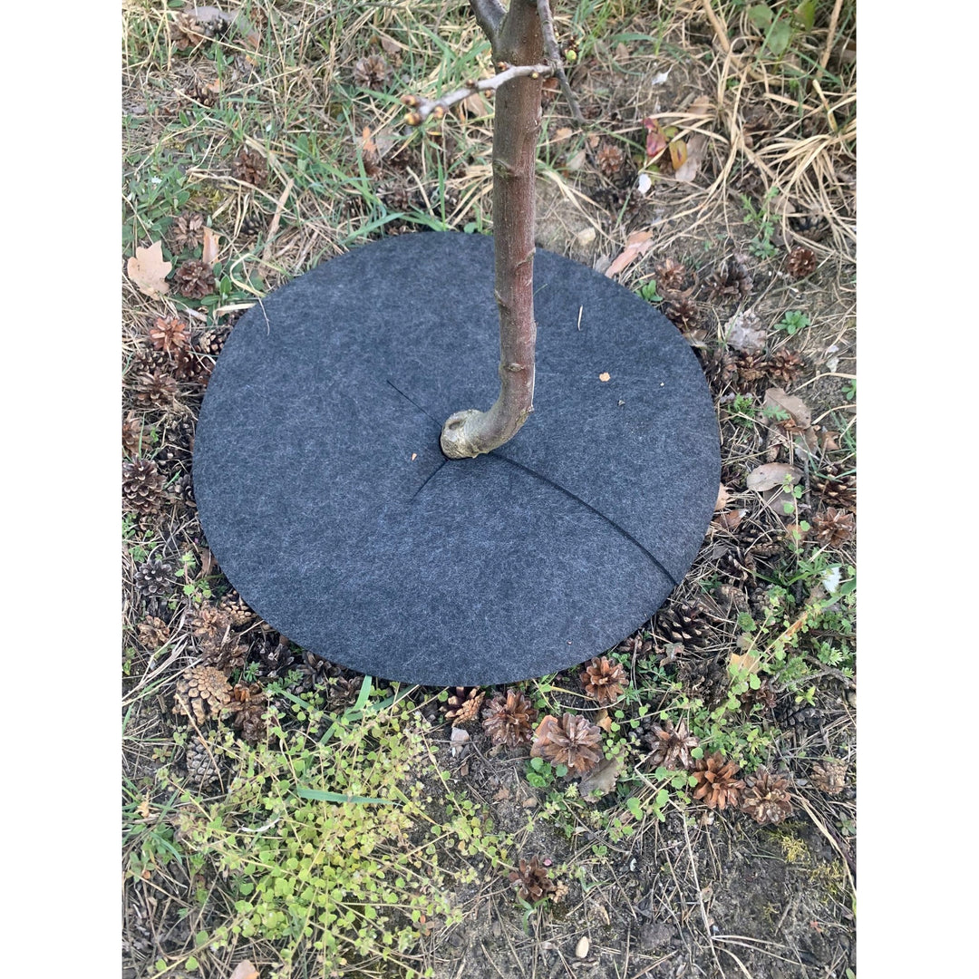 Bertoni Unkrautbekämpfungsscheiben, 6-teilig, 60 cm, grau
