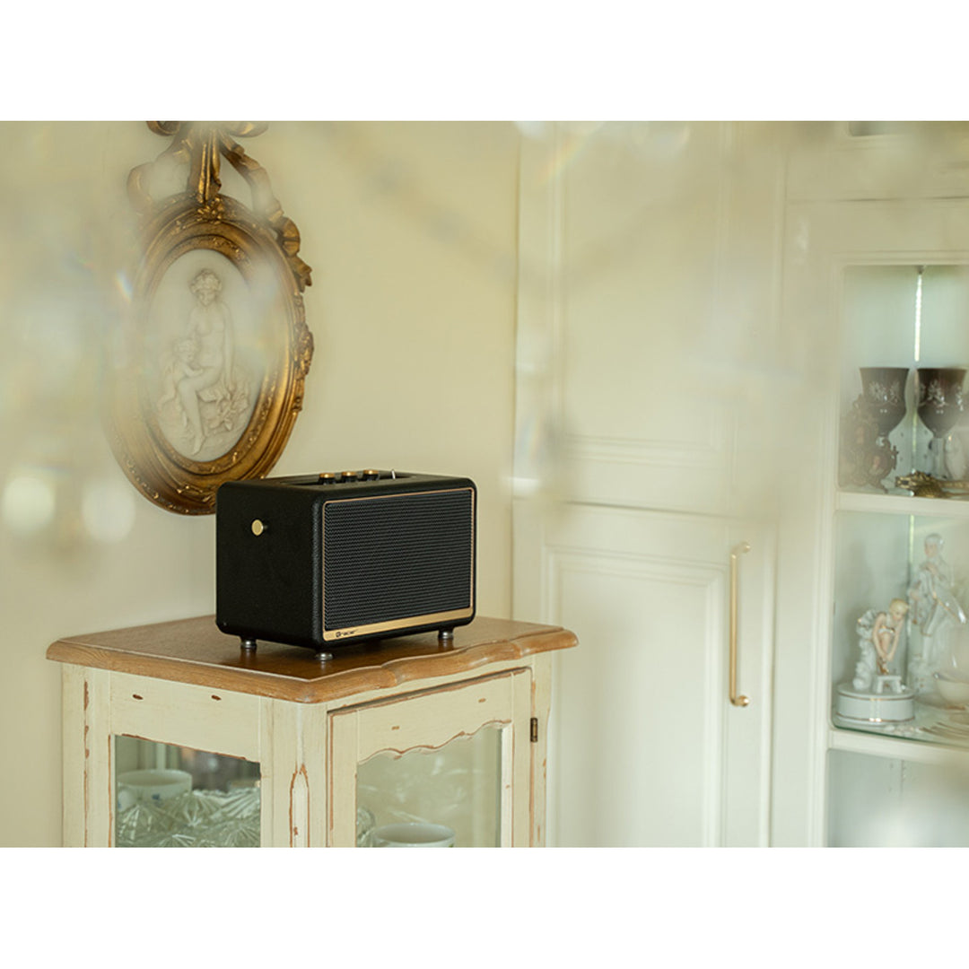 Tracer Tragbarer Lautsprecher, Bluetooth, FM-Radio, 30 W, schwarz, M30