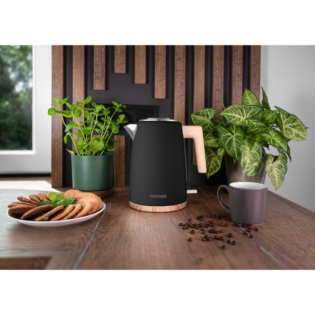 Concept ELWOOD elektrischer Wasserkocher, Edelstahl, 1,7 l, Wasserstandsanzeige, RK3316