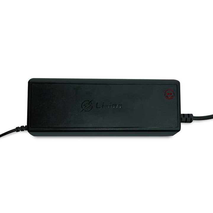 LTC Energy LiFePO4-Batterie-Gleichrichter, BMS, 20A, 230/14,6V, 300W Leistung, eingebaute Schutzfunktionen, LXPOE20