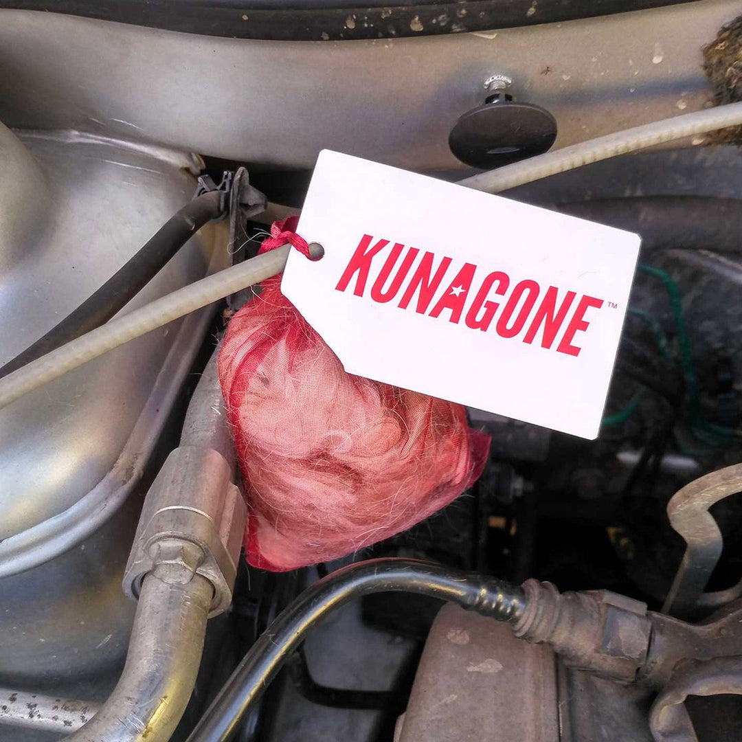 Kunagone Marderabwehr, natürlich, für Auto, Haus, Dachboden, 6 Stück