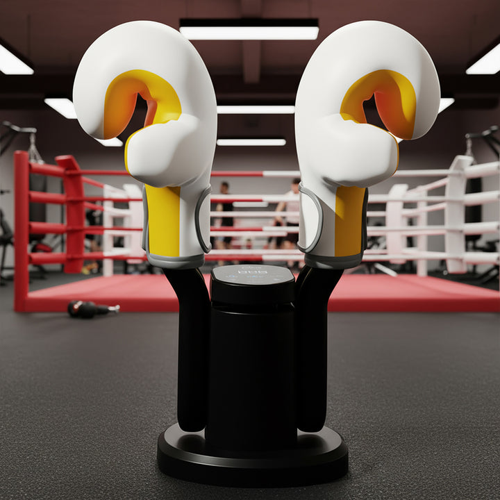 Schuhtrockner mit Ozon-Desinfektion, Media-tech MT6539