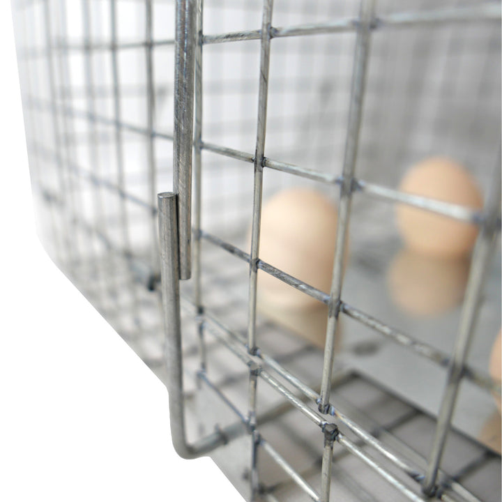 Lebendfalle, Falle für Marder, Ratten, Mäuse, Nerze, Wiesel, Viano P2