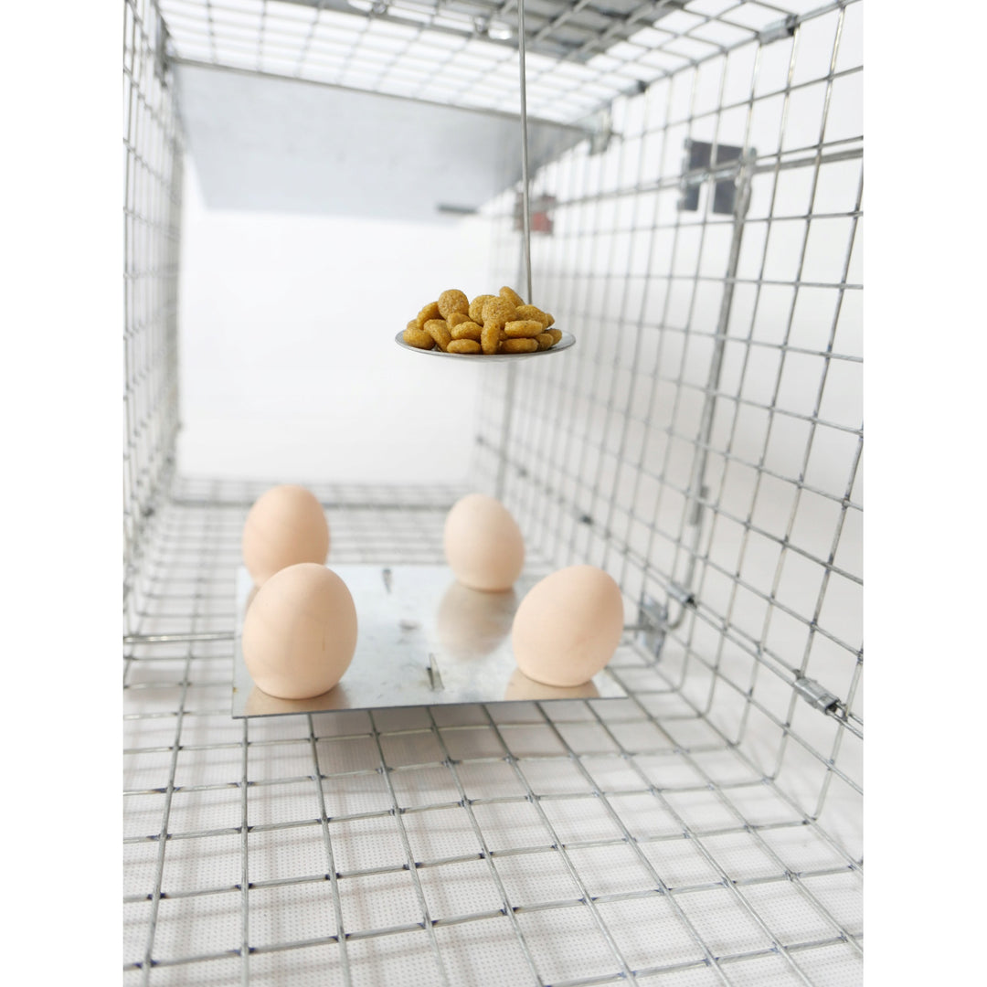 Lebendfalle, Falle für Marder, Ratten, Mäuse, Nerze, Wiesel, Viano P1, 2 Stück