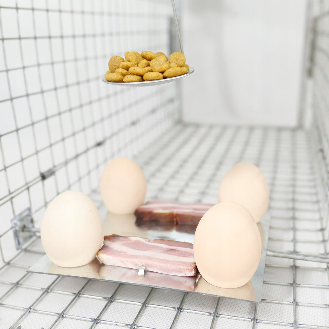 Lebendfalle, Falle für Marder, Ratten, Mäuse, Nerze, Wiesel, Viano P1, 2 Stück