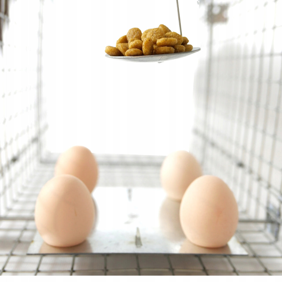 Lebendfalle, Falle für Marder, Ratten, Mäuse, Nerze, Wiesel, Viano P2, 2 Stück