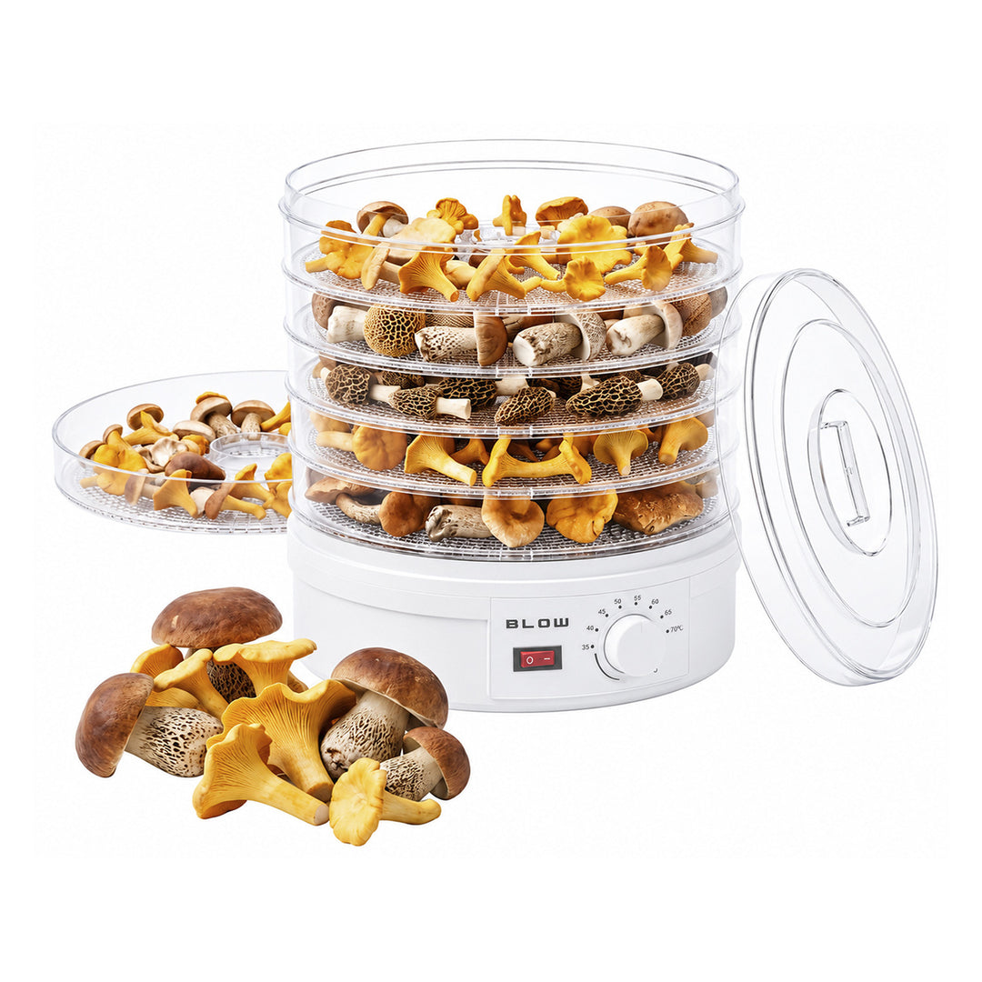 Blow-Trockner für Pilze, Gemüse und Obst, Leistung 500 W, 6 Siebe im Lieferumfang enthalten, Temperaturregelung 35–75 °C, 44–175