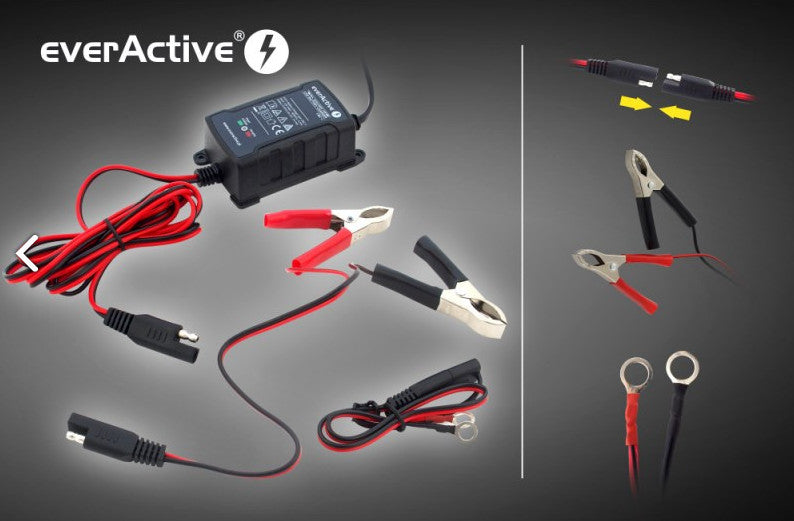 Ladegerät Ladegerät 6V / 12V everActive CBC-1