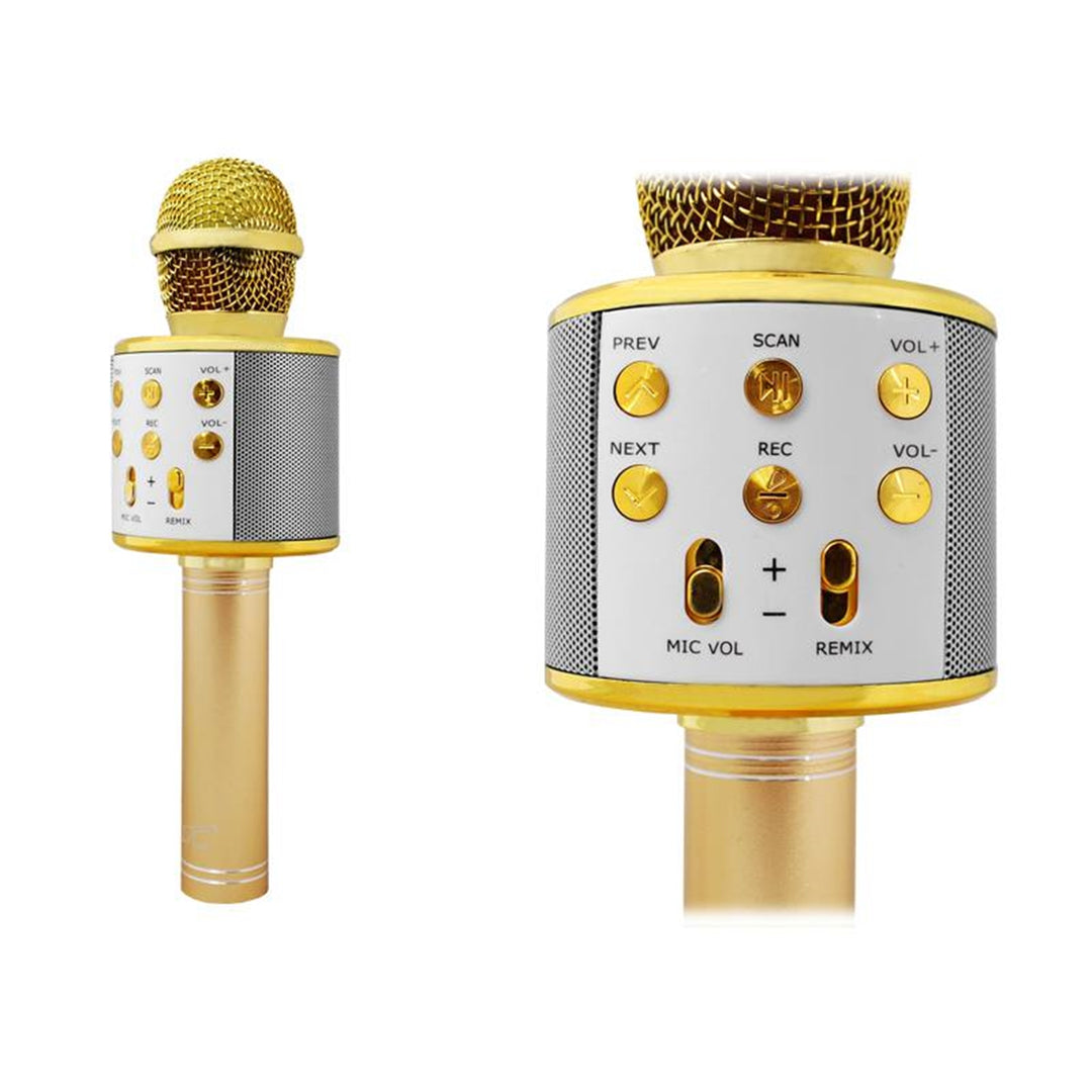 Bluetooth Mikrofon mit LTC MIC100 Lautsprecher Gold