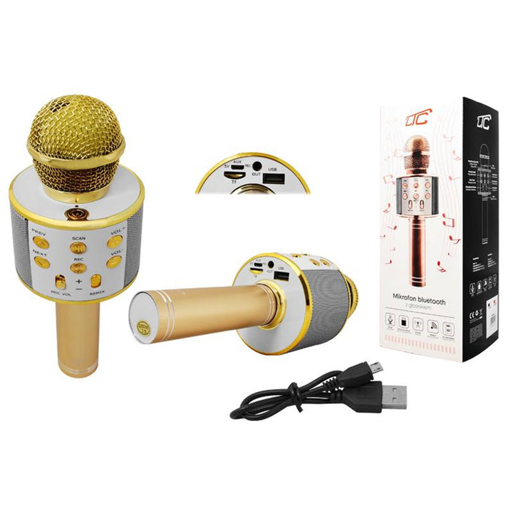 Bluetooth Mikrofon mit LTC MIC100 Lautsprecher Gold