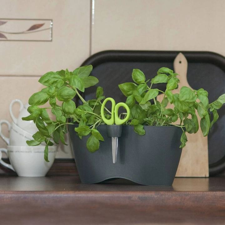 Kräutertopf mit Schere Limes Dublo Graphit  Set 2,3 Liter
