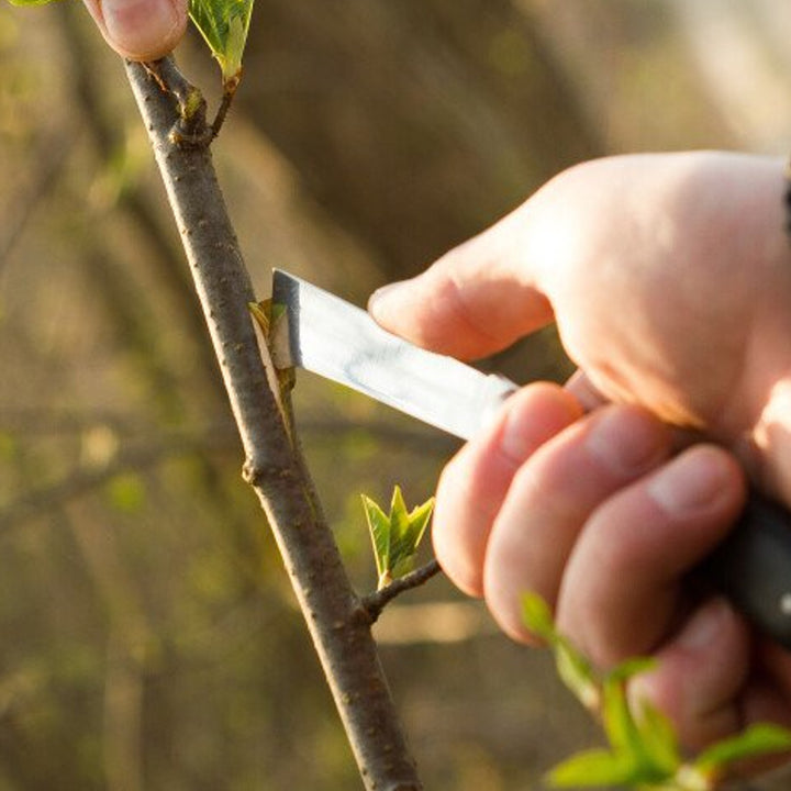 Gartenmesser Taschenmesser Blummenmesser mit Stahlklinge