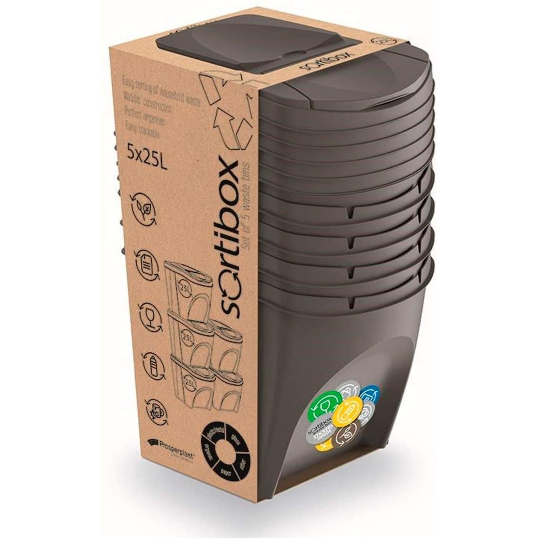 Set mit 5 Recyclingbehältern 125L Kunststoff in grau