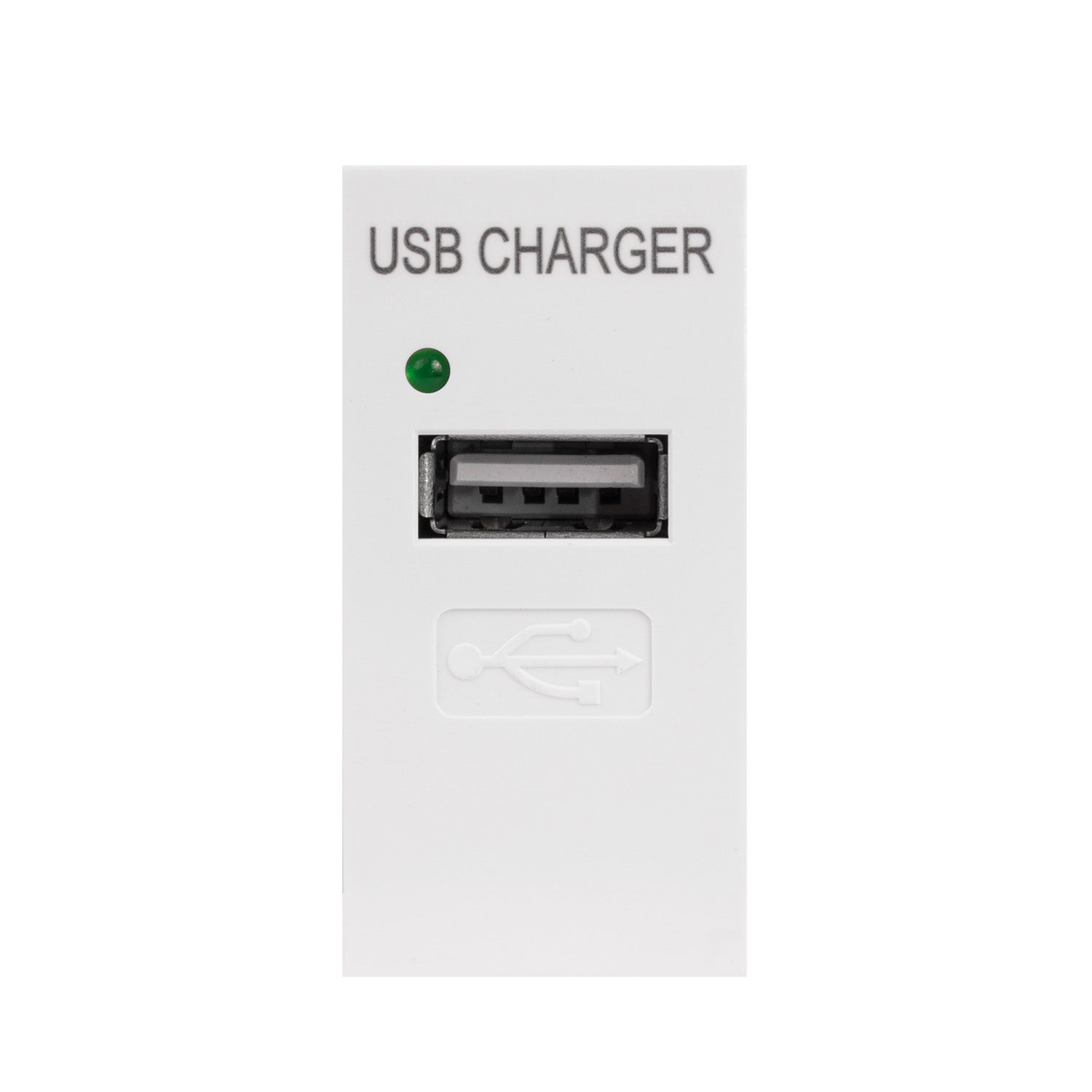 USB Steckdose Ladegerät USB-Anschluss bis 1A Modulare Wandsteckdose Un –  Euroelectronics DE