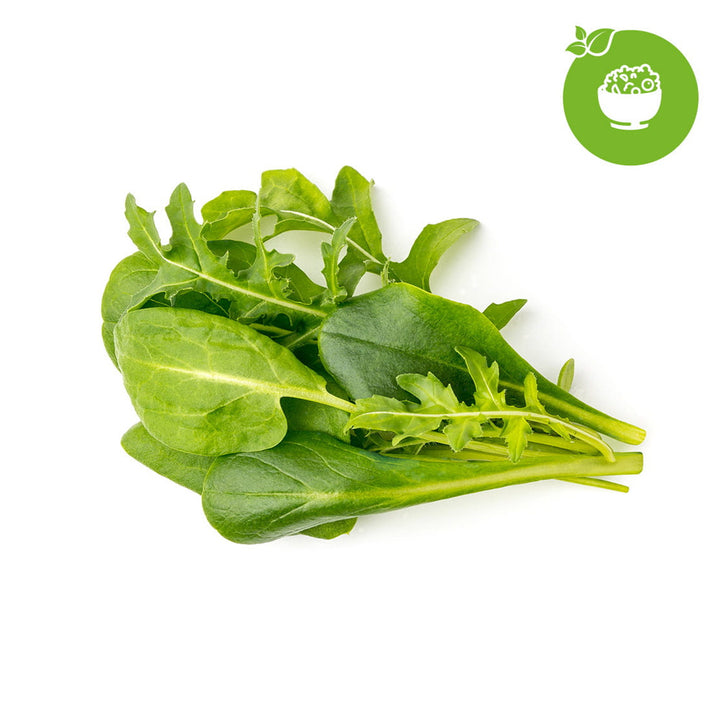Smart Garden Heimgarten-Samen - Gemischte Salate 9er-Pack