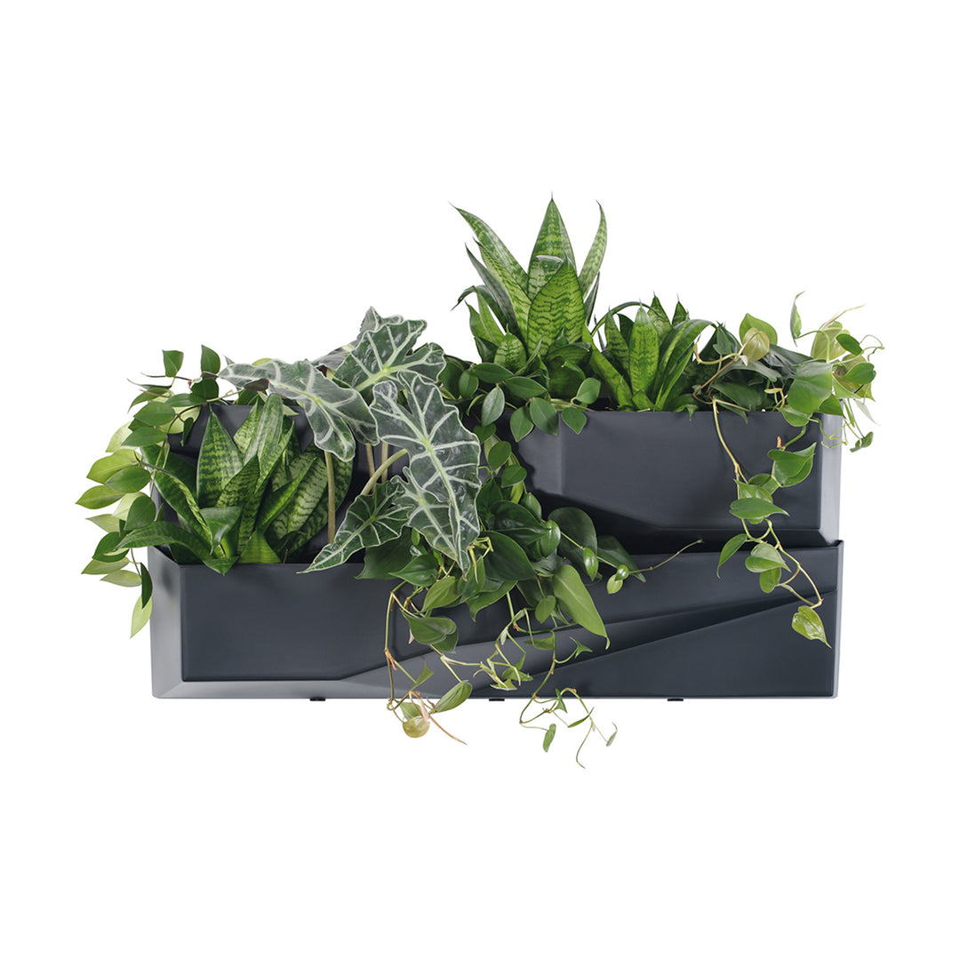 Prosperplast Cascade Garden Wall Grüne Wand Blumenkasten Vertikales Gartensystem Modularer Blumentopf Kunststoff