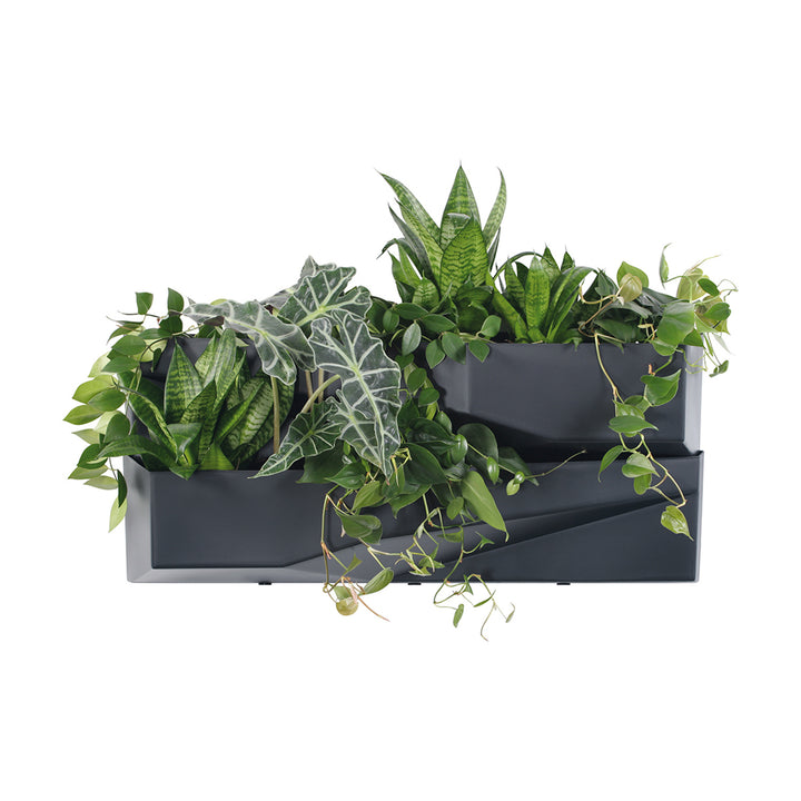 Prosperplast Cascade Garden Wall Grüne Wand Blumenkasten Vertikales Gartensystem Modularer Blumentopf Kunststoff