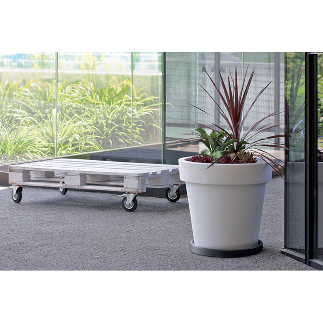 Prosperplast Mobile Saucer Round Blumentopf Untersetzer mit Rollen Pflanzenroller Blumenroller Roller 360 Grad Drehbar Rund Ø 29,2cm