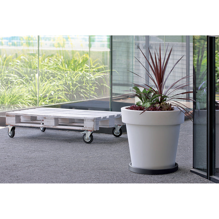 Prosperplast Mobile Saucer Round Blumentopf Untersetzer mit Rollen Pflanzenroller Blumenroller Roller 360 Grad Drehbar Rund Ø 29,2cm