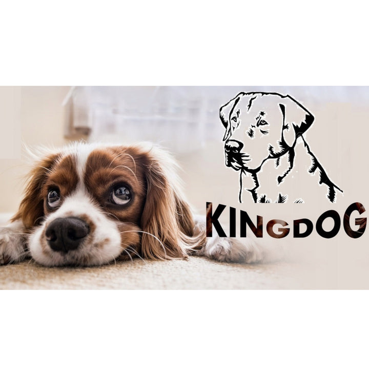 Großes Hunde- und Katzenbett 75 x 65 Dunkelgrau - Kingdog Größe M