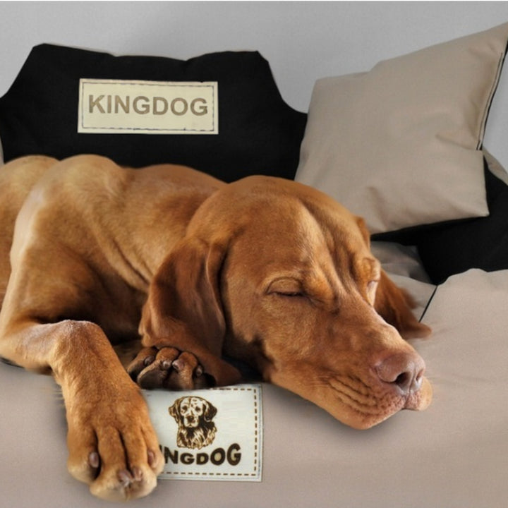 Großes Hunde- und Katzenbett 100 x 75 Beige - Kingdog Größe L