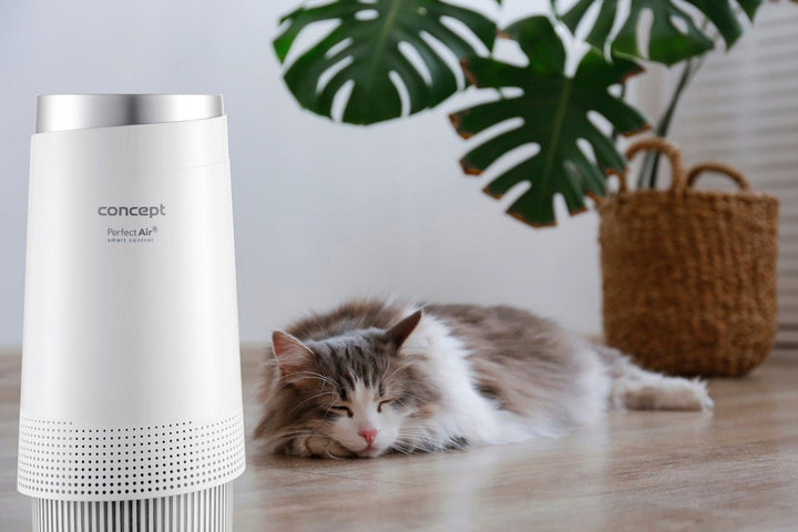 Concept Luftreiniger mit drei Luftfilterstufen CA1010 Perfect Air Smart
