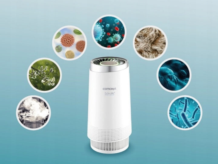 Concept Luftreiniger mit drei Luftfilterstufen CA1010 Perfect Air Smart