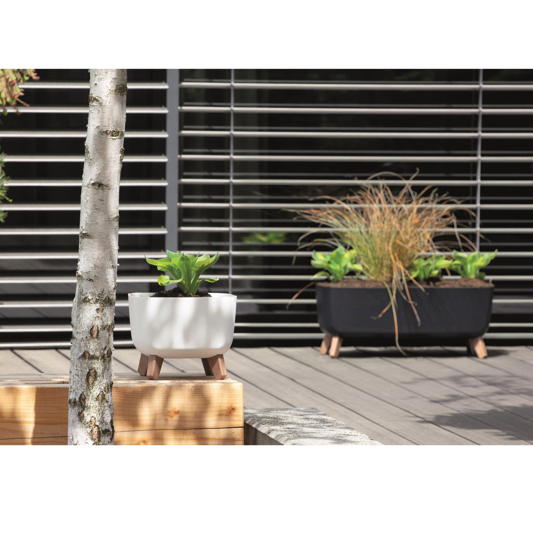 Prosperplast Gracia Square Blumentopf mit abnehmbaren Beinen inkl. Einsatz für Innen- und Außenbereich Pflanzgefäß Quadratisch Kunststoff UV-beständig 39x39x27cm Anthrazit