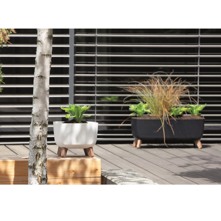 Prosperplast Gracia Square Blumentopf mit abnehmbaren Beinen inkl. Einsatz für Innen- und Außenbereich Pflanzgefäß Quadratisch Kunststoff UV-beständig 39x39x27cm Anthrazit