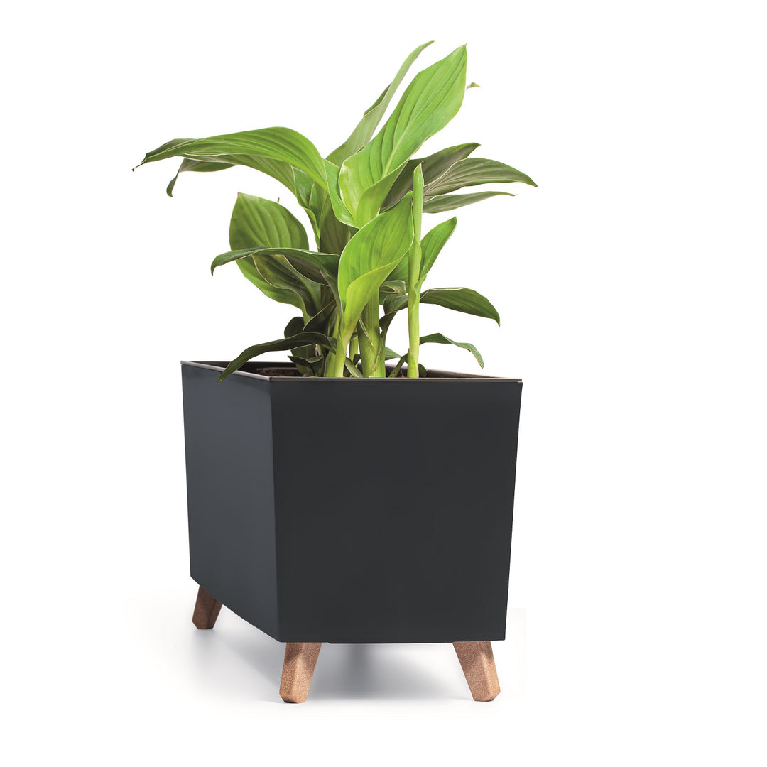 Prosperplast Urbi Case N Blumenkasten mit Beinen und Innentopf für Innen- und Außenbereich Rechteckig Blumentopf UV-beständig Rechteckig 77x23,5x30cm (Anthrazit)