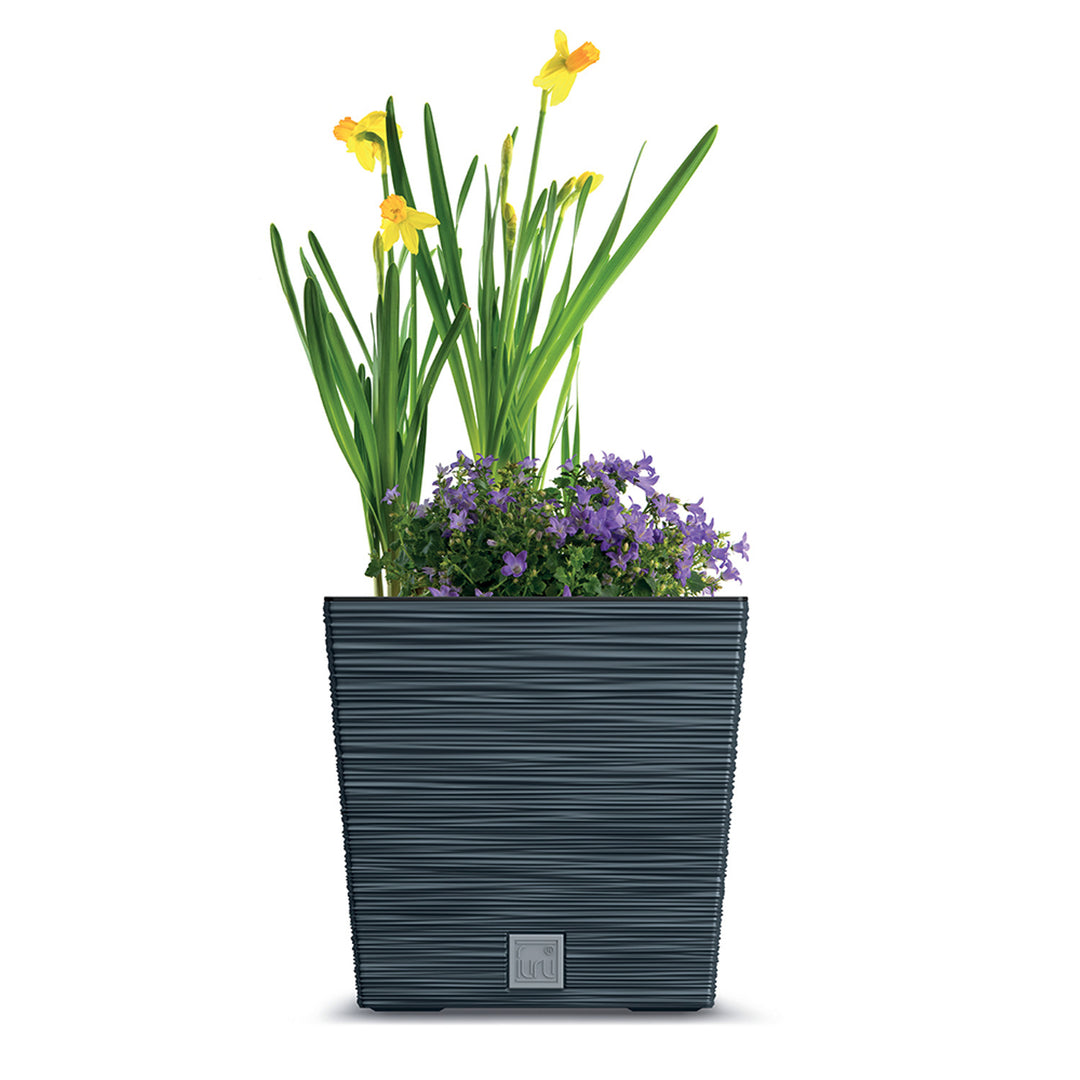 Prosperplast Furu Square Low Blumentopf mit Einsatz DFS300-S433 - Farbe Anthrazit