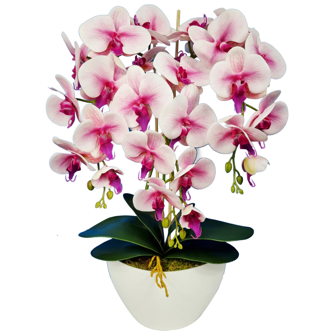 Damich Künstliche Orchidee im Blumentopf Pflanze Künstliche Blume Kuns – Euroelectronics DE