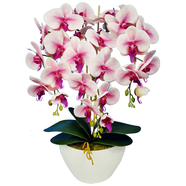 Damich Künstliche Orchidee im Blumentopf Pflanze Künstliche Blume Kunstorchidee Dekoration 3-Blütenzweige Höhe ca. 60cm