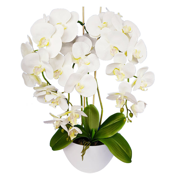 Damich Künstliche Orchidee im Blumentopf Pflanze Künstliche Blume Kunstorchidee Dekoration 3-Blütenzweige Höhe ca. 60cm