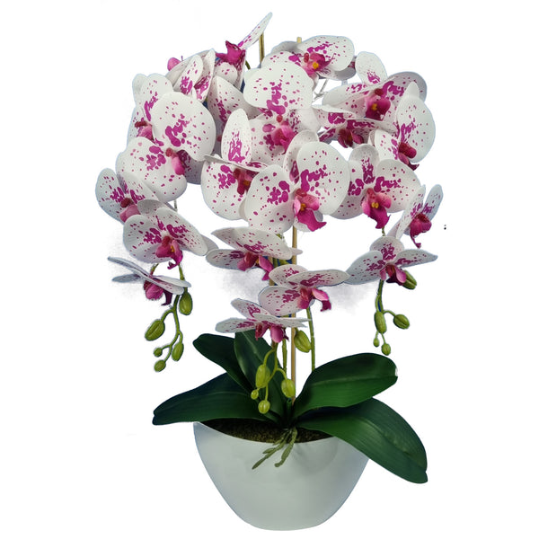 Damich Künstliche Orchidee im Blumentopf Pflanze Künstliche Blume Kunstorchidee Dekoration 3-Blütenzweige Höhe ca. 60cm  (Weiß/Rot)